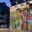 서울 신사역 가로수길 향수 탬버린즈 TAMBURINS 방문 후기