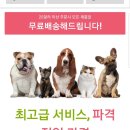 진드기,심장사상충 예방법 이미지