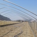 신기리농장 이미지