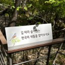 숲 | 화담숲 방문 후기