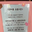 옌카롱 | [대구/송현동] 송현동마카롱맛집 "옌카롱", 수능응원은 "옌카롱"에서 특별한 마카롱 선물