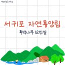 포레스트 12 자연휴양림 | [서귀포] 자연휴양림 후박나무 12인실 후기 / 위치 / 근처 가볼만한 곳