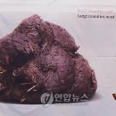 미래기획 이미지