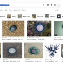 평대해수욕장 | 제주 구좌읍 평대해변(평대해수욕장) 물놀이