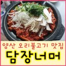 담장너머 티스토리