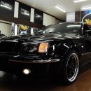 사파동313 이미지