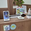 메추삼계탕 | 수원 삼계탕 맛집 태백상황버섯삼계탕 수원 본점 가성비 좋은 반계탕