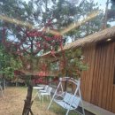 제주서가 | 제주서가 후기 도심 속 제주 감성 가득한 힐링 맛집 방문기