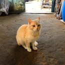 서산바다펜션 이미지