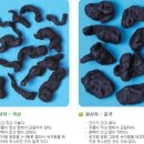 칠보농협옹동지소 | 옹동제약(숙지황공장) 견학 후기