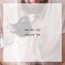 기분좋은헤어 이미지