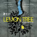 레몬트리 이미지