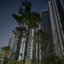 고양대로 1407번길 이미지