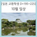 CLEVER FIT | [일본 교환학생 D+195~225] 10월 일상