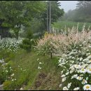 다물농장 이미지