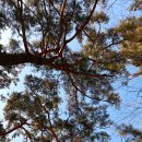 한점남한우농장 | 주말 서울 근교 가볼만한 곳 가족들과 남한산성 둘레길 산책