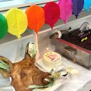 디엠치과기공소 이미지