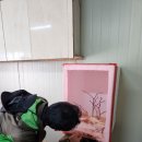 천년의빛농장