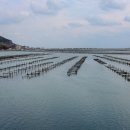 정거마을 이미지