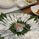 금화로99번길 | 광주 무등시장맛집 거문도은갈치 후기입니다.