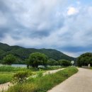 리또 풀빌라 이미지