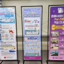 목포에서 제주도 가는 배 퀸제누비아2 이용기