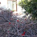 서귀포월드컵경기장 이미지