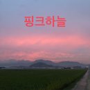장어마을 | 201001 (상주 양평칼국수, 너랑나랑, 이춘봉인생치킨, 칸도라멘)