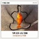 검단낚시카페 추천 아이와 함께 즐긴 GO실내낚시카페 후기