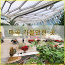 현대식물원
