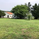 전원애견 이미지