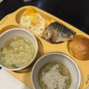 아기애견 | 홍천 소노펫 골드룸 돌아기랑 애견동반 여행 후기