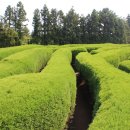 김녕관광지 이미지