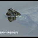 [북부] 캘리그라피 | [인천 수영장 추천] 인천북부교육문화센터 다양한 수업, 쾌적한 시설