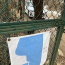 해치커피 이미지