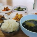 의풍분교온달캠핑장 | 🏞 220609 소백산자락길 8코스