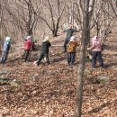 "산양삼" 이란 ? ( 5교시 ) 심화과정 이미지