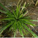 곡정초등학교 이미지