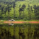 030630-02반영.jpg 이미지