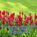 팜마켓