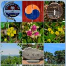 432. 한국 1000대명산 724. 안성 고성산(古城山)...