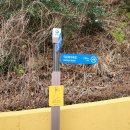 대계마을 이미지