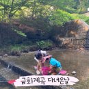 금화계곡주차장 | [금화계곡 후기] 대구 구미 근교 계곡, 아이와 시원한 여름 나들이