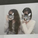 성식마케팅 | 나의 여신 그녀는 씩씩하게 땅을 걷는다