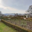 장자호수공원(시민의숲) 이미지