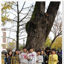 왕전초등학교 이미지