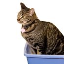 FM 동물메디컬센터 이미지