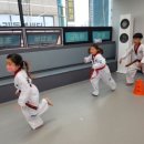 용인대홍익태권도장 이미지