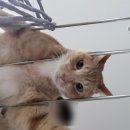 의좋은형제 동양화모임 | 2026.04(4)-잼민이의 우당탕탕 일주일 후기