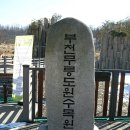 무릉도원수목원 이미지